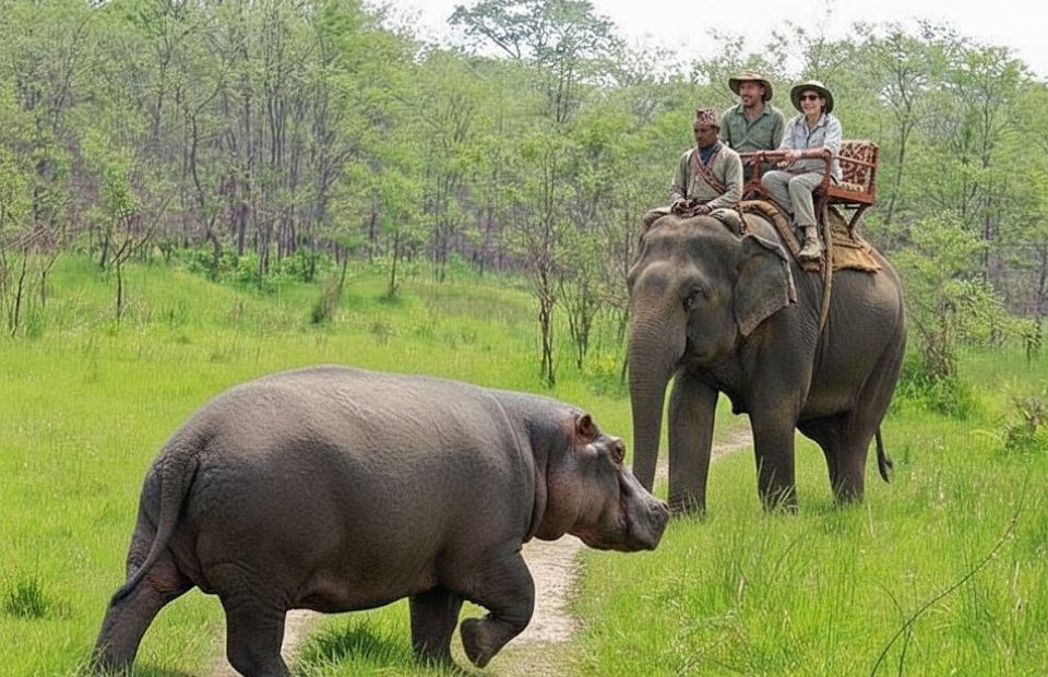 Chitwan National Park ride