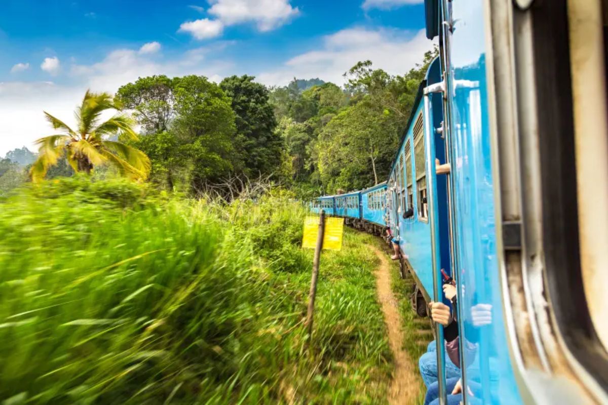 Scenic train ride to Nuwara Eliya or Ella