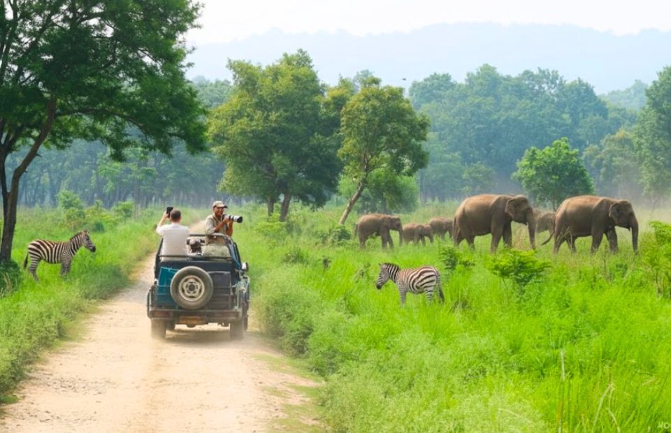 Transfer to nepal airport