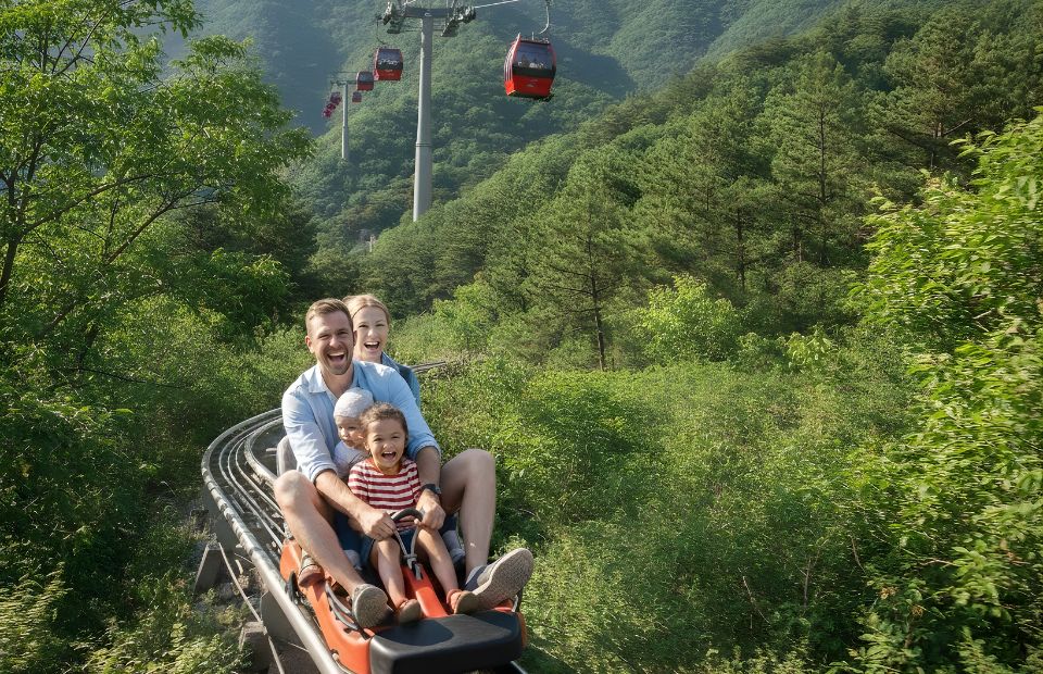 cable car ride or toboggan