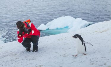 Antarctica travel guide