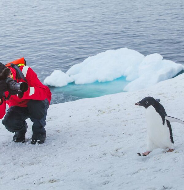 Antarctica travel guide