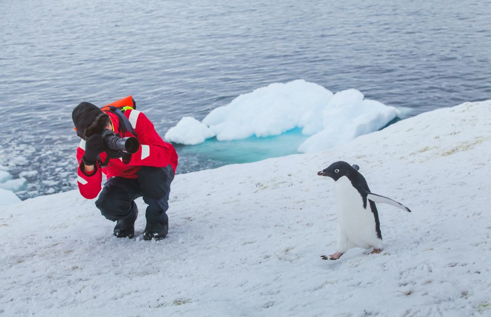 Antarctica travel guide