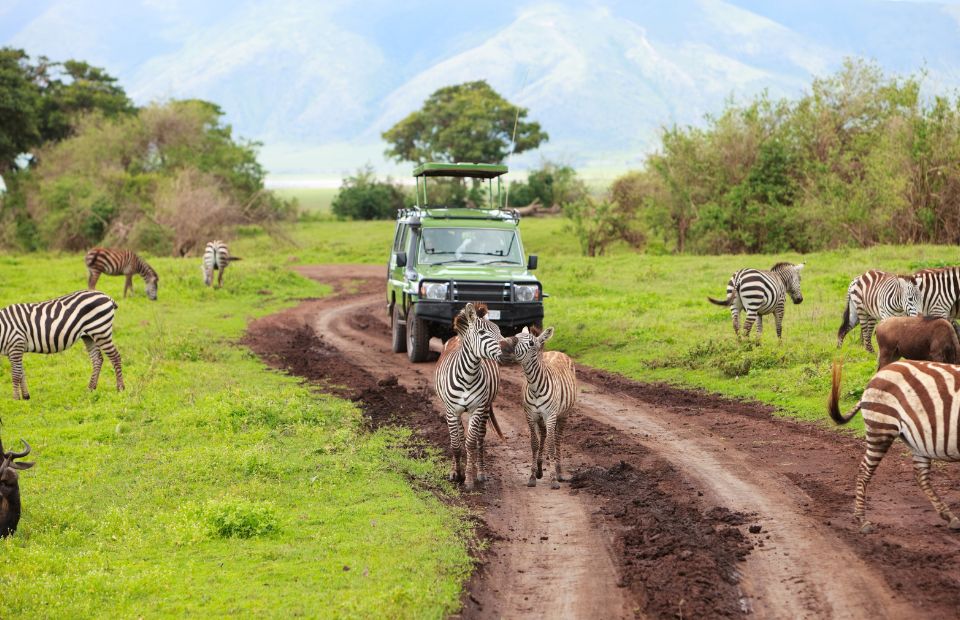 Ngorongoro Crater for a game drive