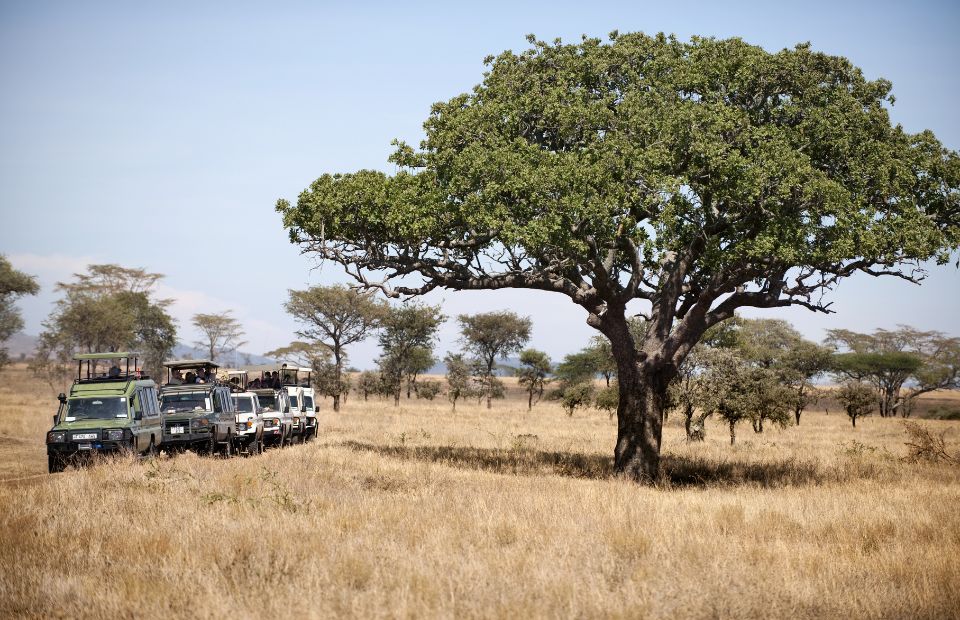  Serengeti National Park