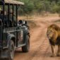 Wildlife tour safety tips 85x85