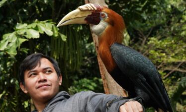 Borneo