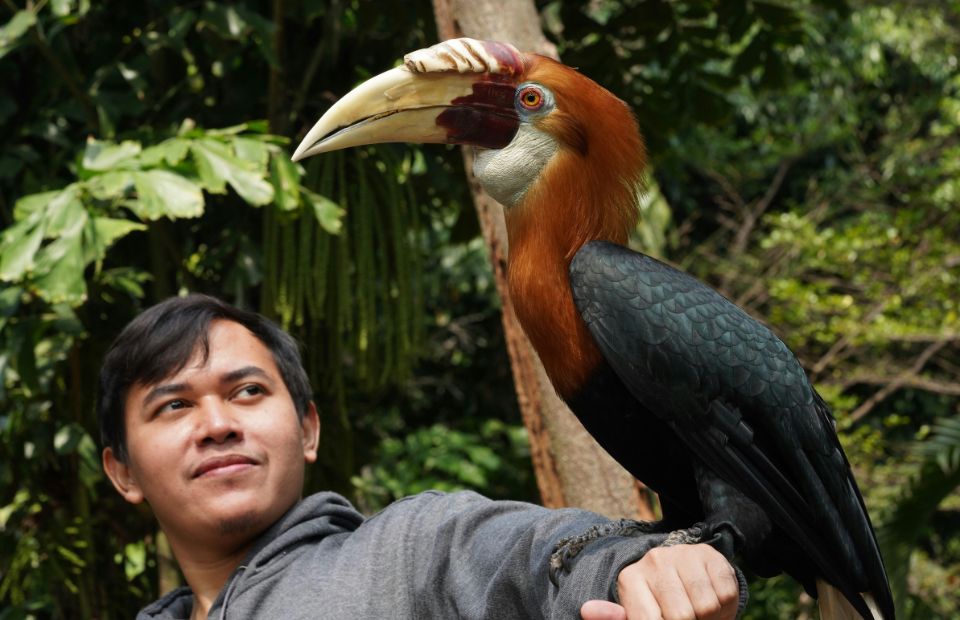 Borneo