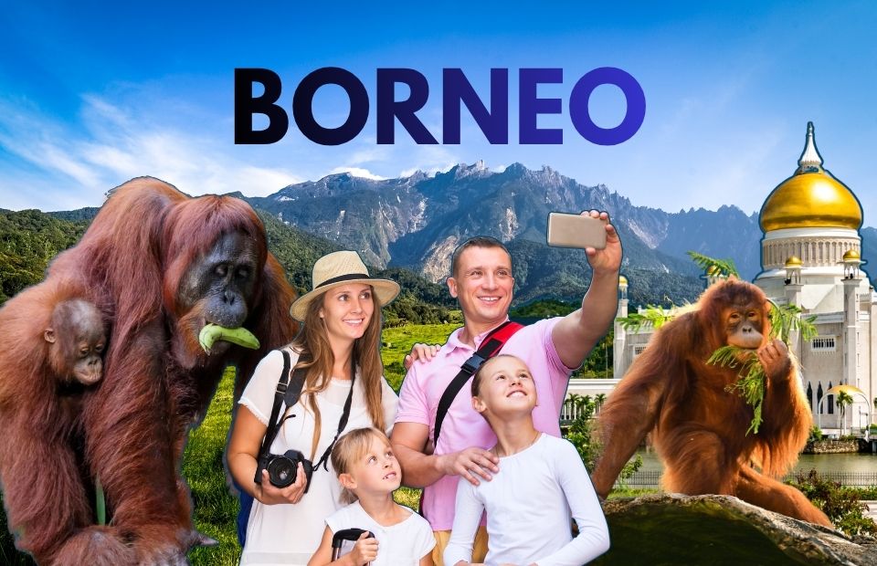 Borneo Jungles and Orangutans